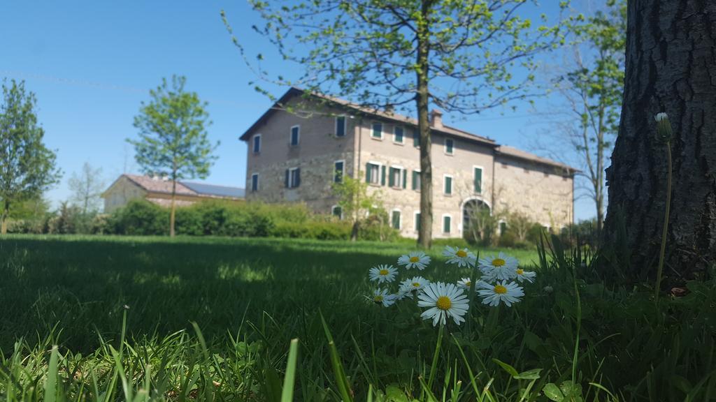 Agriturismo Il Brugnolo Scandiano Extérieur photo