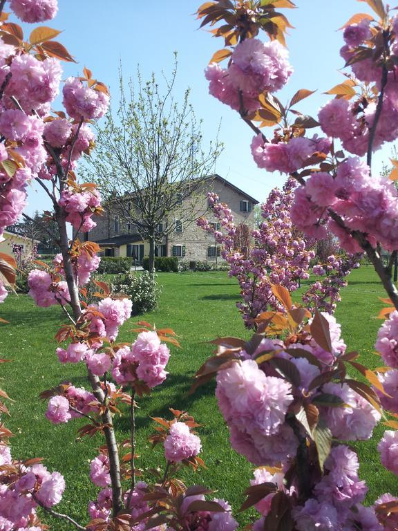 Agriturismo Il Brugnolo Scandiano Extérieur photo